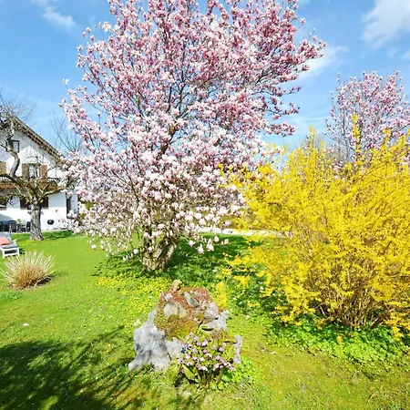 Haus Magnolia Holiday home *